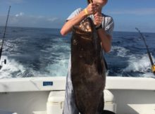 Aaron Hanania lifts the 80 pound Grouper he caught while deep sea fishing outside of Cozumel, Mexico
